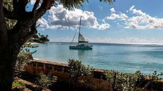 Barbados establishes world's first metaverse embassy