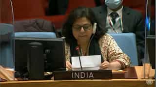Terrorists enjoy free pass: India slams Pak at UNSC after Islamabad's envoy rakes up Kashmir issue 