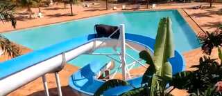 Watch | Cow escapes from slaughterhouse, enjoys slide at waterpark in Brazil