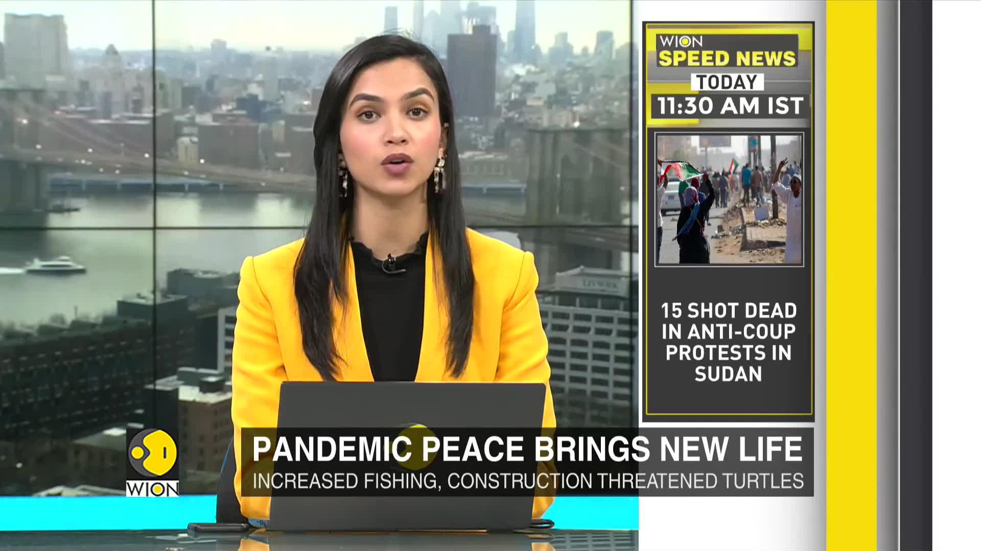 WionNews Video