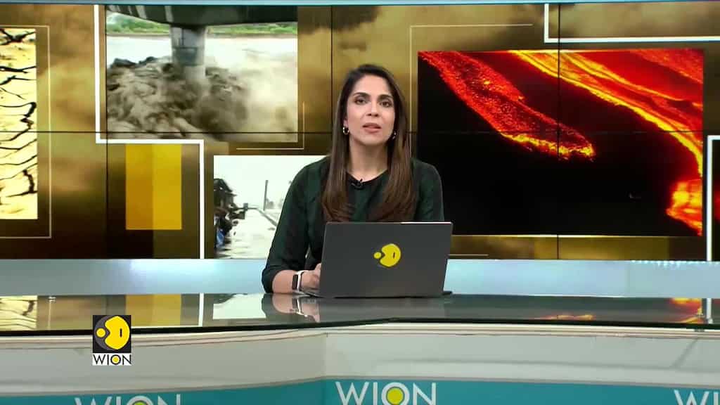 US to step up efforts to tackle plastic waste as it continues to devastate marine life