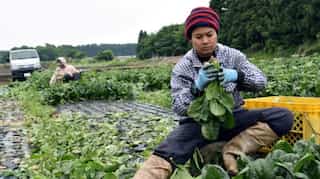 Japan looks to accept more foreigners in key policy shift