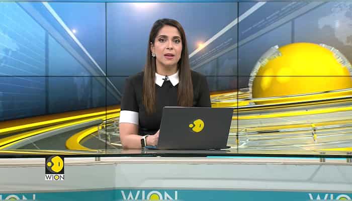 Amazon deforestation at a 15-year high, another alarming finding | WION Climate Tracker