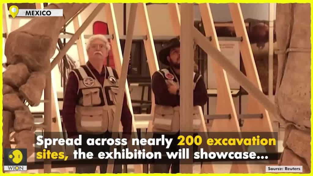 More than 100 Ice age mammoth to be showcased in an exhibition of Mexico
