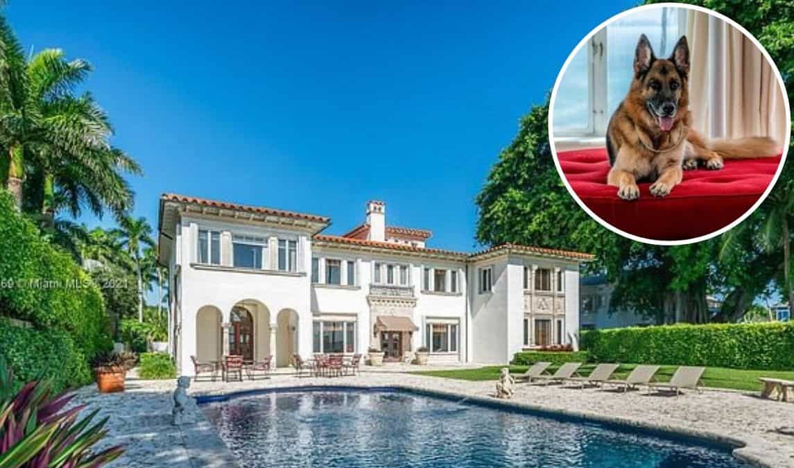 World's 'wealthiest' dog is selling a luxurious Miami mansion, which was once owned by Madonna - see pictures World's 'wealthiest' dog is selling a luxurious Miami mansion, which was once owned by Madonna - see pictures