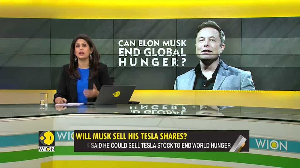Gravitas: Will Elon Musk sell Tesla shares to solve World hunger?