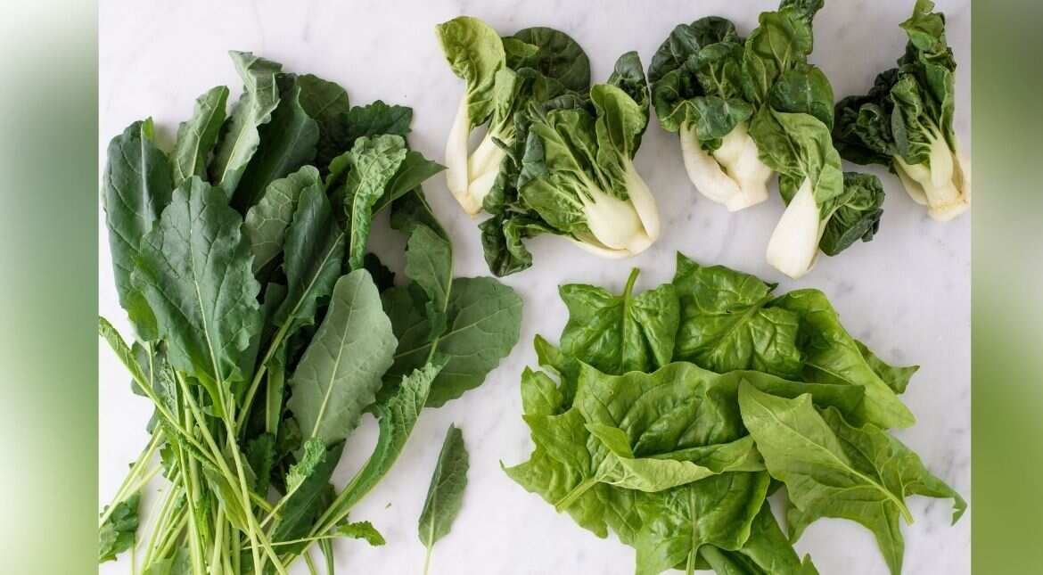 Vegetarians found to have lower cancer risk than meat-eaters