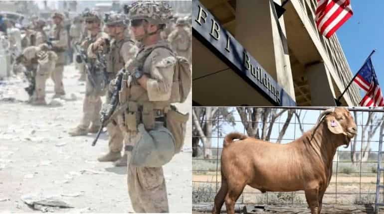 Morning news brief: Thousands entered US unvetted, most expensive goat sold and more Morning news brief: Thousands entered US unvetted, most expensive goat sold and more