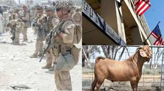 Morning news brief: Thousands entered US unvetted, most expensive goat sold and more