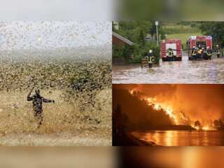 Fires, floods, flying insects: Climate-fuelled disasters that wreaked havoc across world