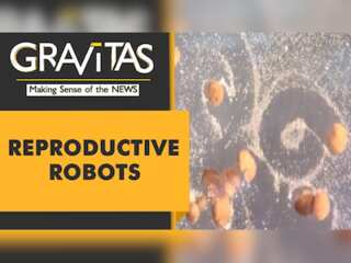 Gravitas: These robots can produce babies; Xenobots capable of self-replicating