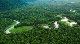 Amazon deforestation down nearly 60% compared to July last year: Brazil