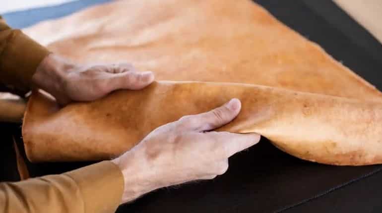 Gamechanger? Scientists reveal cruelty-free 'mushroom leather' Gamechanger? Scientists reveal cruelty-free 'mushroom leather'