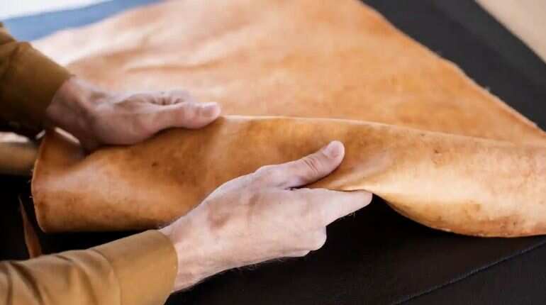 Gamechanger? Scientists reveal cruelty-free 'mushroom leather'