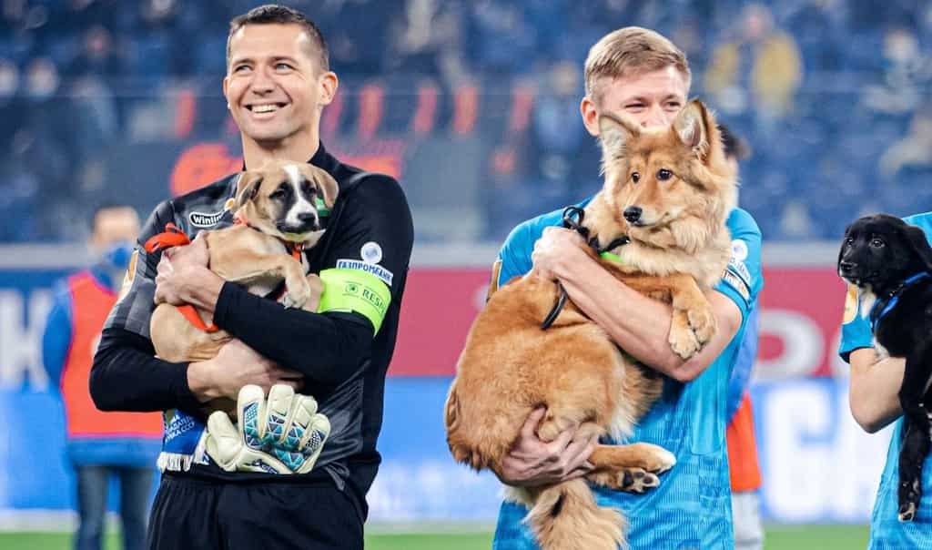ADORABLE! Zenit St Petersburg players bring puppies on field before football match, urge fans to adopt: Watch