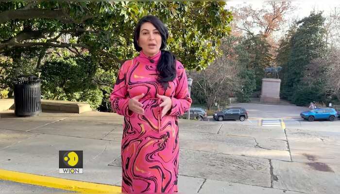 South Asia Diary | Nepal's stolen gods make a rare return