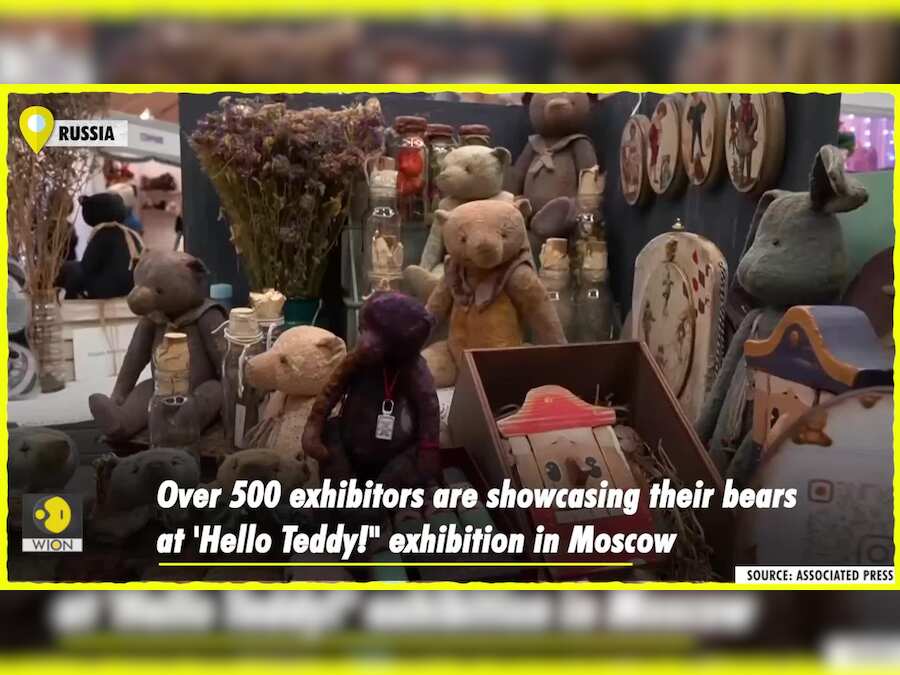 'Hello Teddy' welcomes you to world's largest teddy bear exhibition in Moscow