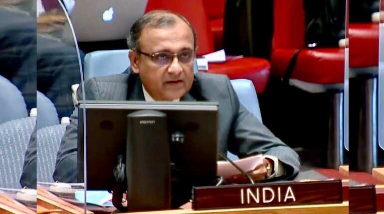 'Jews, Tibetans, or Bangladeshis': We saved millions of refugees, says India at UN