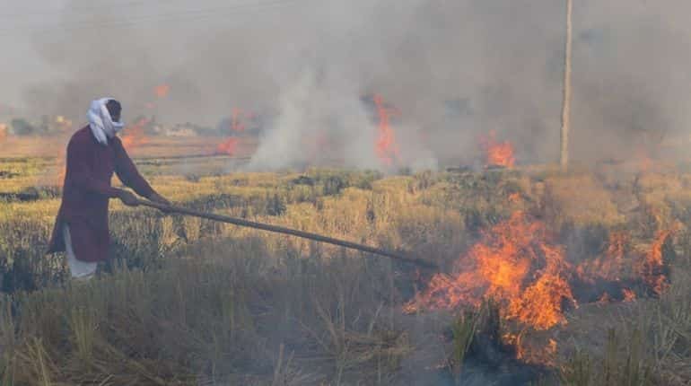 Pakistan