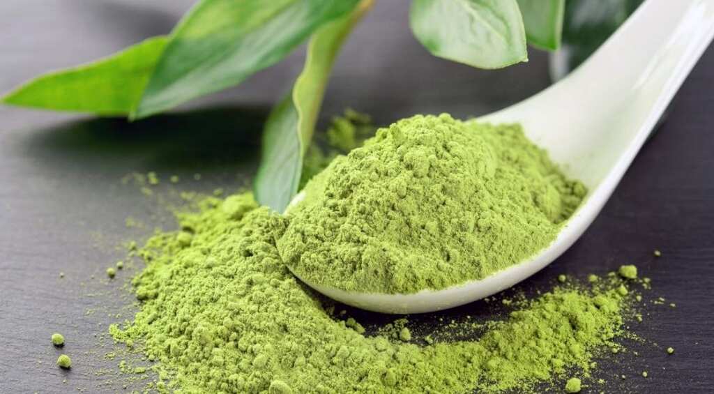 Health benefits of internet's latest obsession -- Matcha