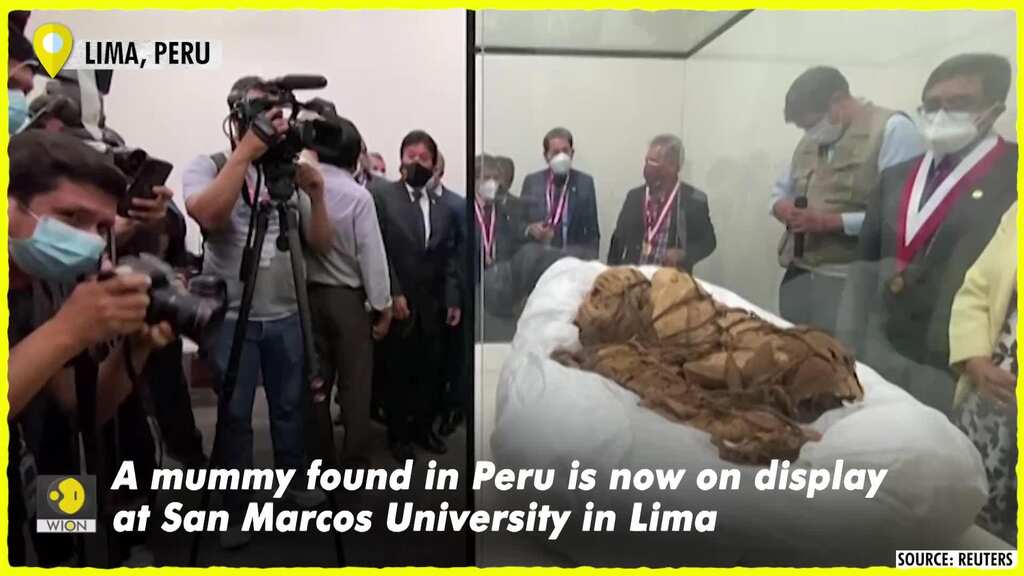 Peru: 1,200 years old Mummy revealed