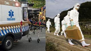 Morning news brief: Mexico road accident, Covid vaccine hoarding and more