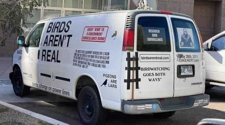 'Fighting lunacy with lunacy': Sneak a peek into a Gen Z-fuelled conspiracy theory ‘Birds Aren’t Real’ in US