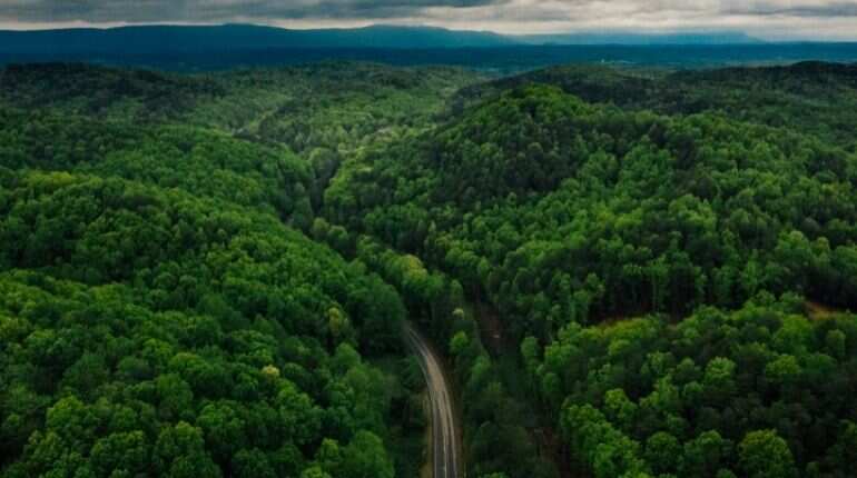 Study shows that away from human touch, tropical forests can regenerate in 20 years