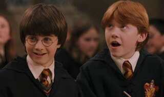 Environmental officials urge 'Harry Potter' fans to not leave socks at Dobby's memorial site