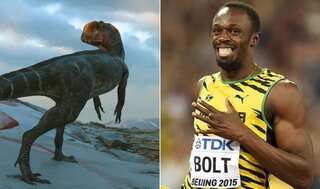 Faster than Usain Bolt? Study reveals Theropod dinosaurs could run really fast