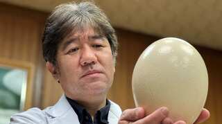 Japanese researchers use ostrich cells to create mask that glows if Covid positive