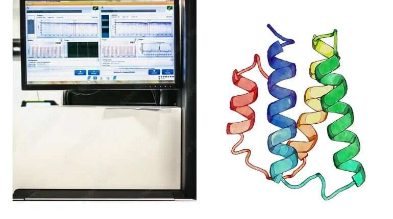Songs by virus: Company selling COVID-19 sound for NFT Songs by virus: Company selling COVID-19 sound for NFT
