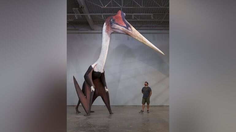 Quetzalcoatlus largest known flying animal to have ever lived on Earth, says study
