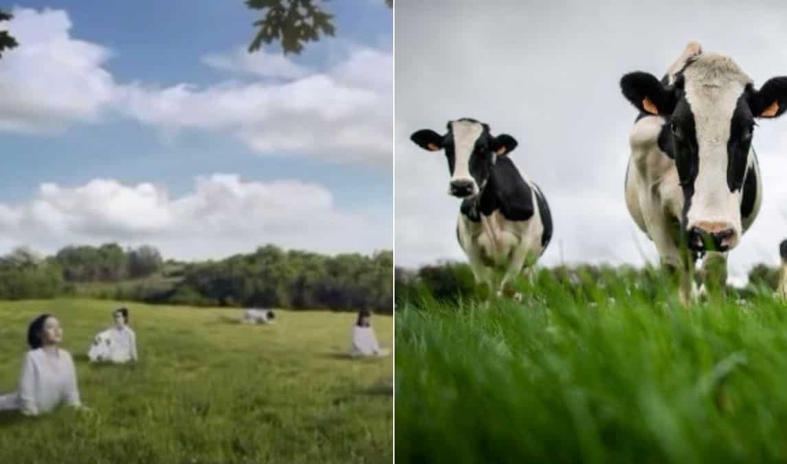 South Korean dairy firm sorry over questionable advert portraying women as cows: 'We bow our heads in apology' South Korean dairy firm sorry over questionable advert portraying women as cows: 'We bow our heads in apology'