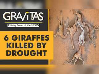 Gravitas: This heartbreaking picture sums up Kenya's drought horror