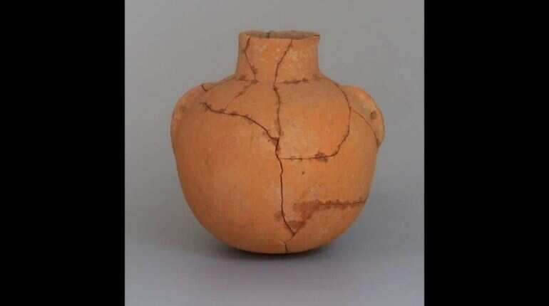 Remnants of over 8,000-year-old alcohol found by archaeologists in China Remnants of over 8,000-year-old alcohol found by archaeologists in China