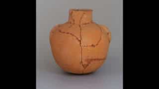 Remnants of over 8,000-year-old alcohol found by archaeologists in China