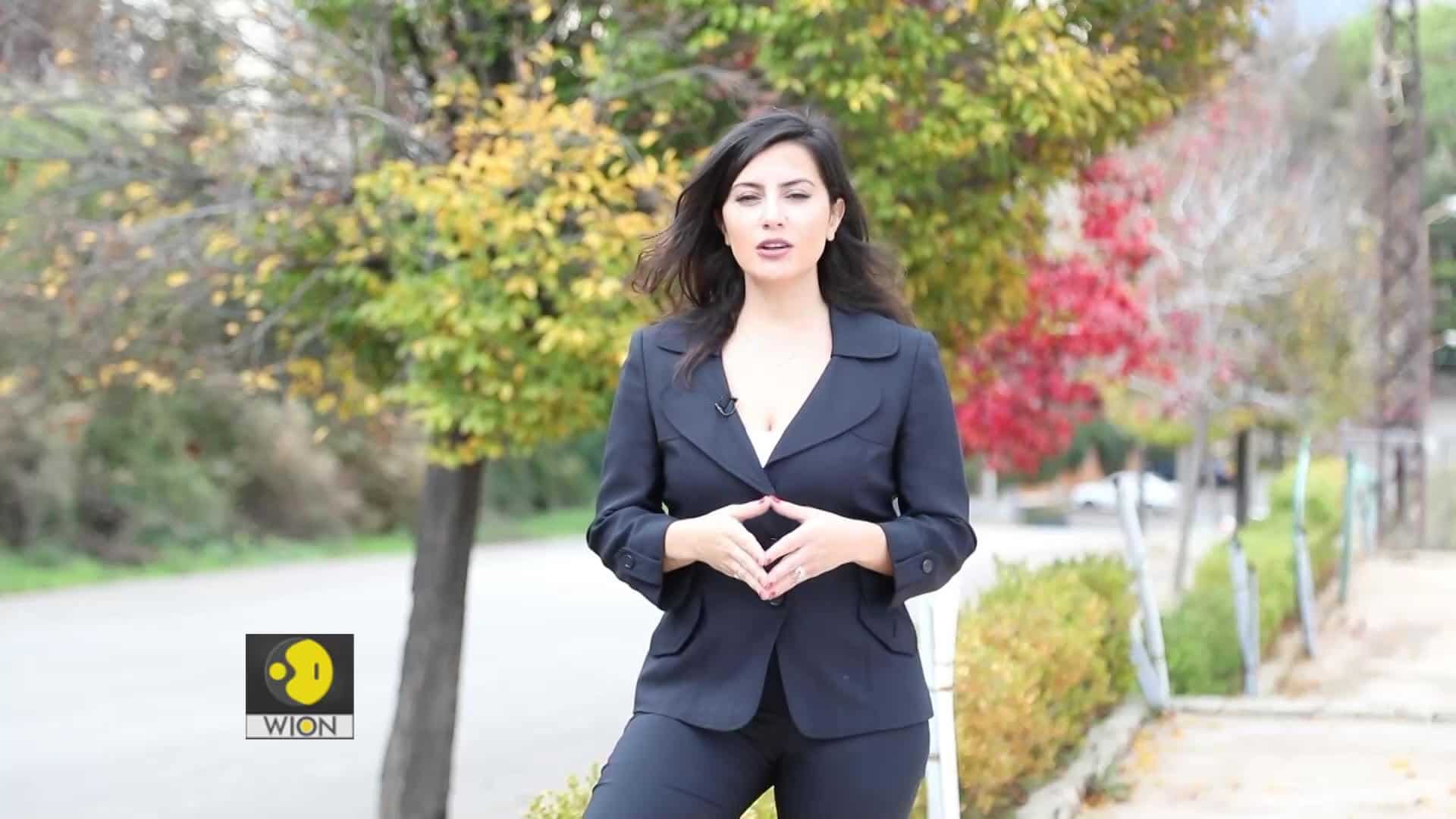 The West Asia Post | Security, strategic ties top the Gulf agenda | 42nd GCC summit in Riyadh