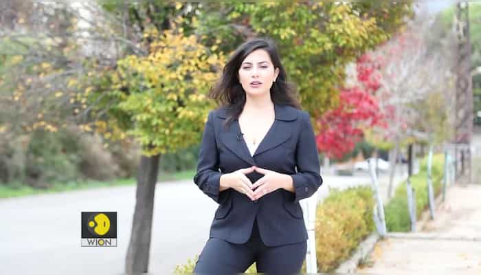 The West Asia Post | Security, strategic ties top the Gulf agenda | 42nd GCC summit in Riyadh