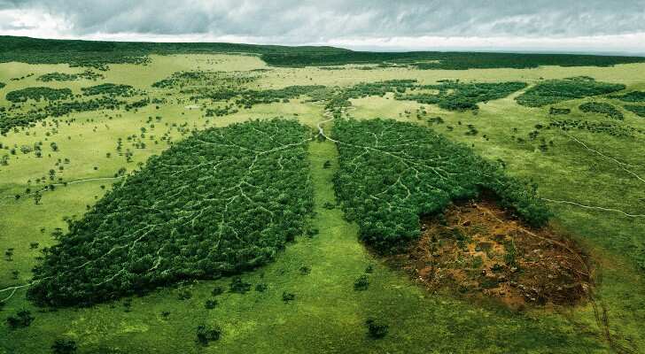 Bolivia: Forest fires ravage nature reserve