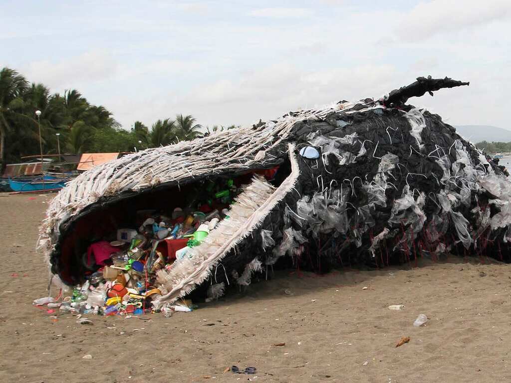 Cameroon locals organise beach clean-up drives