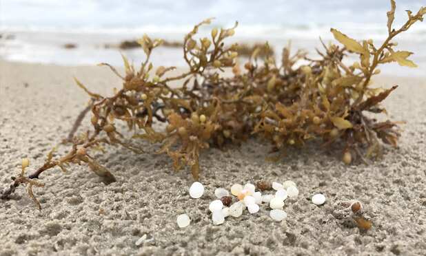 Nerdles: A type of marine debris said to cause as much damage as oil spills do