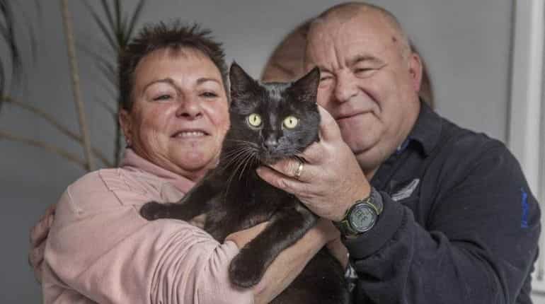 'Kleptomaniac kitty' pounces on New Zealand town; steals underwear, shoes and drugs