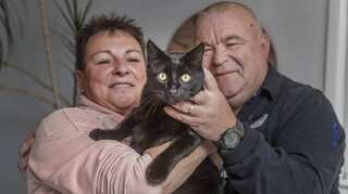 'Kleptomaniac kitty' pounces on New Zealand town; steals underwear, shoes and drugs
