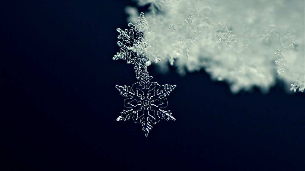What is a Snowflake & how do they form? Types of Snowflakes