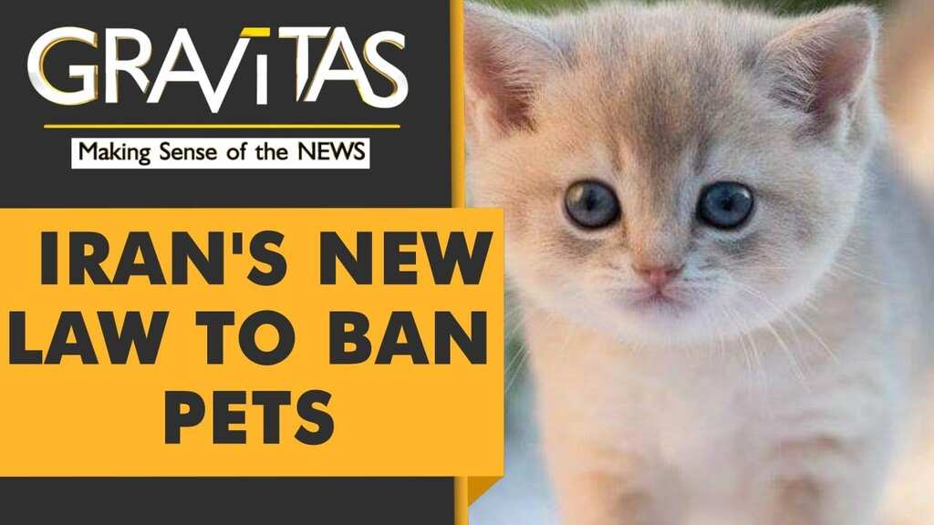 Gravitas: Cats, Rabbits & Dogs: Iran mulls law to ban 'destructive' pets
