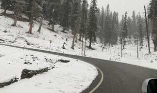 'I feel as if I am in a movie': It's white Christmas in Kashmir, tourist arrivals break a ten-year record