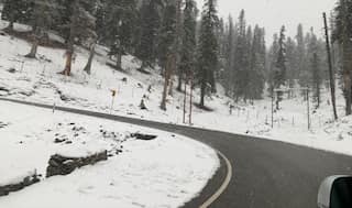 'I feel as if I am in a movie': It's white Christmas in Kashmir, tourist arrivals break a ten-year record