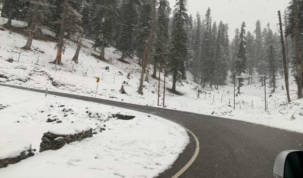 'I feel as if I am in a movie': It's white Christmas in Kashmir, tourist arrivals break a ten-year record