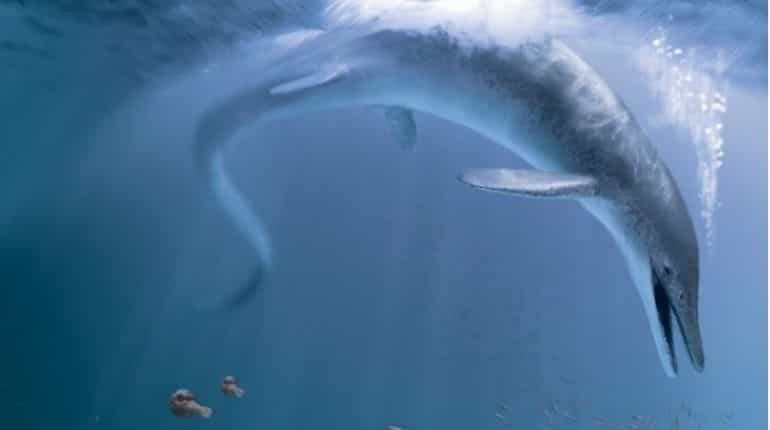 A sea monster lived in dinosaur-era seas, says new study